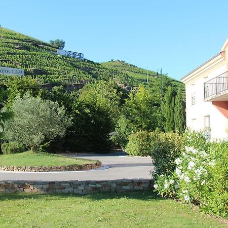 Hôtel Le Domaine des Vignes Ampuis Lyon Sud Vienne Exterior foto