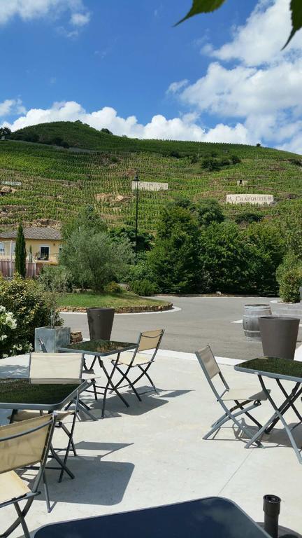 Hôtel Le Domaine des Vignes Ampuis Lyon Sud Vienne Exterior foto